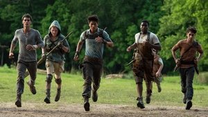 Images posters