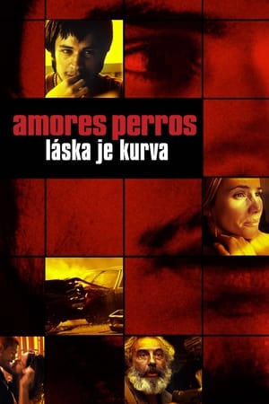 Poster Amores perros – Láska je kurva 2000