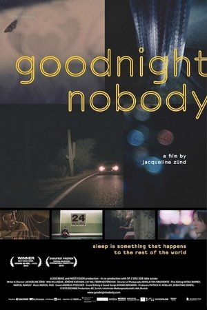 Goodnight Nobody (2010)
