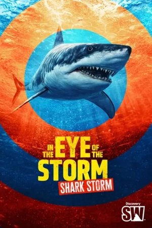 In the Eye of the Storm: Shark Storm (2025)