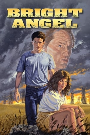 El despertar de un ángel 1990