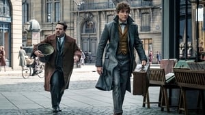 مشاهدة فيلم Fantastic Beasts and Where to Find Them 2016 مترجم – مدبلج