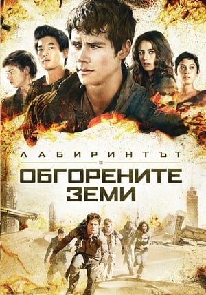 Poster Лабиринтът: В обгорените земи 2015