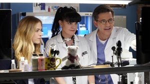 NCIS Season 15 :Episode 21  One Step Forward