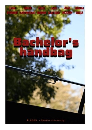 Bachelors Handbag (2025)
