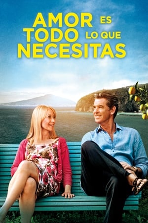 Poster Amor es todo lo que necesitas 2012