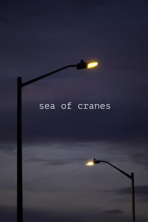 Image Sea of Cranes