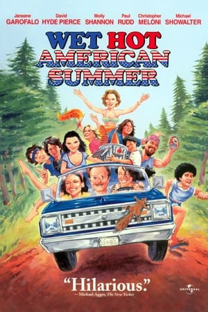 Image Wet Hot American Summer