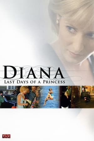 Image Diana, les derniers jours d'une princesse