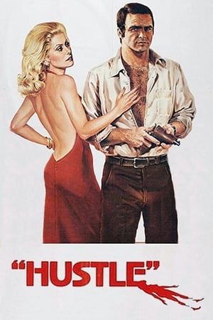 Poster Hustle 1975