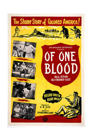 Image Of One Blood