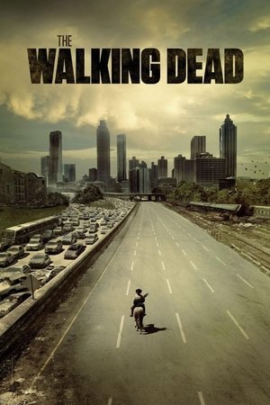 Poster The Walking Dead Season 10 Ghosts 2019