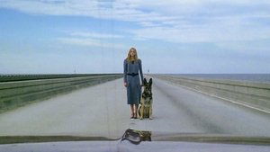 The Beyond (1981)