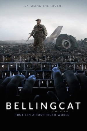 Image Bellingcat - Truth in a Post-Truth World