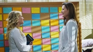 Grey's Anatomy Season 11 :Episode 13  Staring at the End