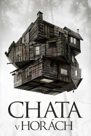 Poster Chata v horách 2012