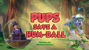 Pups Save a Hum-Ball