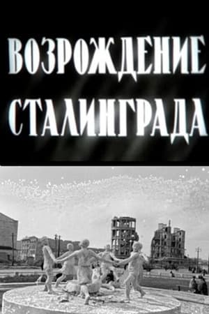 Возрождение Сталинграда 1944