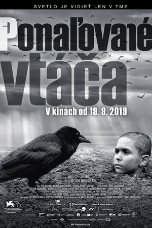 Image Pomaľované vtáča