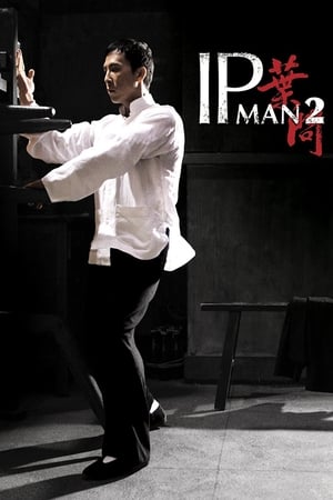 Ip Man 2 2010