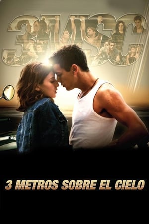 Poster Tres metros sobre el cielo 2010