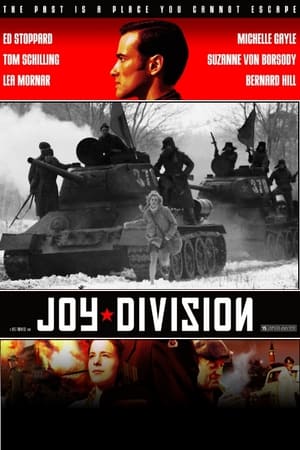 Poster Joy Division 2006