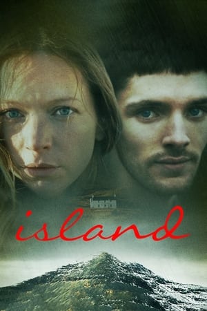 Poster 岛 2011