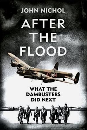 What the Dambusters Did Next 2014