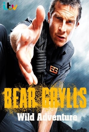 Image Bear Grylls Wild Adventure