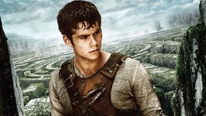 Images posters