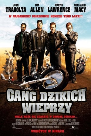 Gang dzikich wieprzy 2007