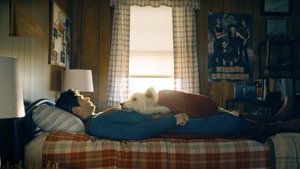 Images posters