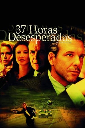 Poster 37 horas desesperadas 1990