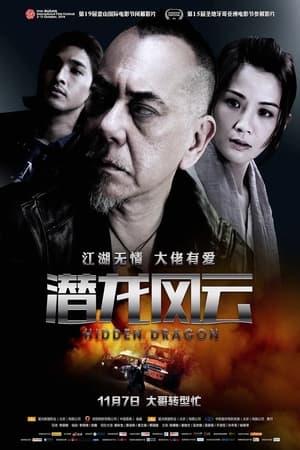 Poster 潜龙风云 2014