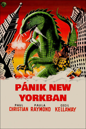 Image Pánik New Yorkban