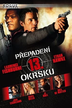 Poster Přepadení 13. okrsku 2005