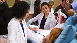 Grey's Anatomy Season 13 :Episode 3  I Ain't No Miracle Worker