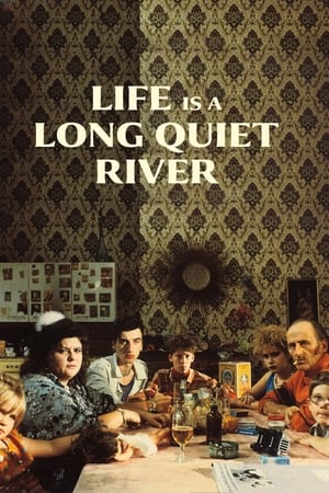 Poster Life Is a Long Quiet River 1988