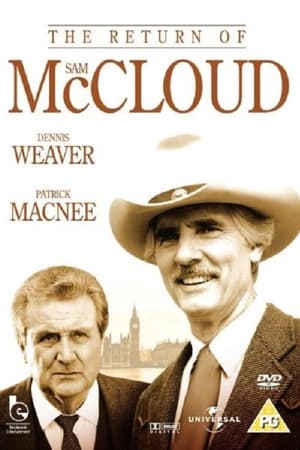 Poster The Return of Sam McCloud 1989