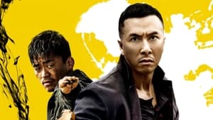 Kung Fu Jungle (2014)