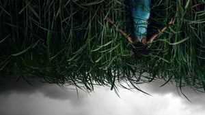 مشاهدة فيلم In the Tall Grass 2019 مترجم