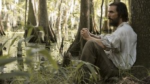 Free State of Jones (2016)