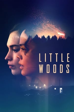 Image Little Woods
