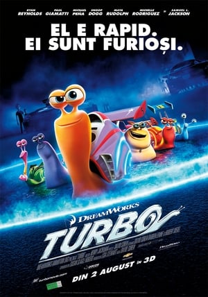 Poster Turbo 2013