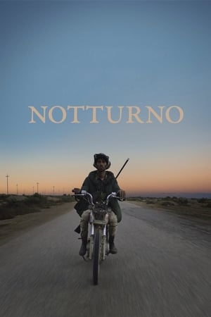 Poster Notturno 2020