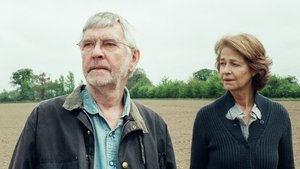 45 χρόνια / 45 Years (2015)
