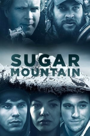 Sugar Mountain 2016