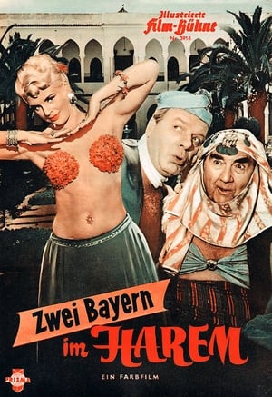 Image Zwei Bayern im Harem