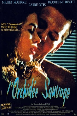 Image L'Orchidée sauvage