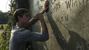 مشاهدة فيلم The Maze Runner 2014 مترجم